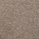 Rutland Elm 50oz Home Counties Heathers Carpet by Cormar