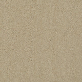Sable 171 Ultimate Twist Intenza Carpet