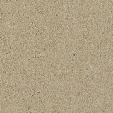 Sable 171 Ultimate Twist Intenza Carpet