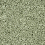 Sage Green 440 Carousel Twist Carpet