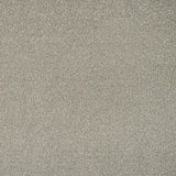 Sage Grey 28 Orion 50oz Invictus Carpet