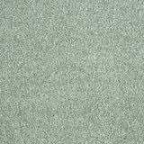 Salix 20 Splendour iSense Carpet