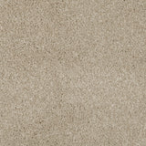 Sandlewood 72 Serano Elite Intenza Carpet