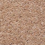 Sandpiper 50oz Home Counties Heathers Carpet by Cormar