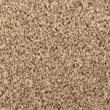 Sandstone 715 Noble Heathers Saxony Carpet