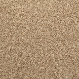Sandstone 715 Noble Heathers Saxony Carpet