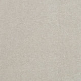 Sandstone 37 Hermes iSense Carpet