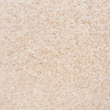 Sandstone 37 Serenity iSense Carpet