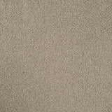 Sandy Beige Illinois Loop Carpet