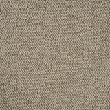 Sandy Beige Illinois Loop Carpet