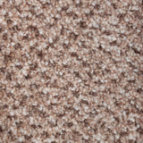 Ettrick 39 Stainaway Tweed Carpet