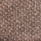 Eden 40 Stainaway Tweed Carpet