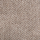 Trummel 46 Stainaway Tweed Carpet