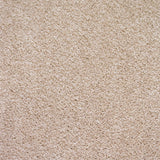 Gucci 30 Scorpius Invictus Carpet