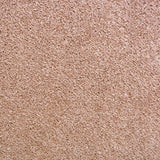 Kenzo 33 Scorpius Invictus Carpet