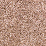 Kenzo 33 Scorpius Invictus Carpet