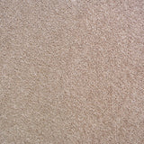 Prada 39 Scorpius Invictus Carpet