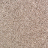 Prada 39 Scorpius Invictus Carpet