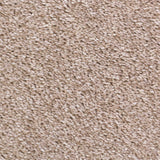 Prada 39 Scorpius Invictus Carpet