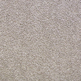 Revlon 90 Scorpius Invictus Carpet