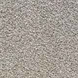 Revlon 90 Scorpius Invictus Carpet