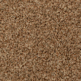Seal Brown 875 Noble Heathers Saxony Carpet