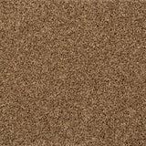 Seal Brown 875 Noble Heathers Saxony Carpet