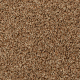 Seal Brown 875 Noble Heathers Saxony Feltback Carpet