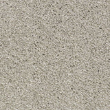 Seashell 680 Sarabi Carpet