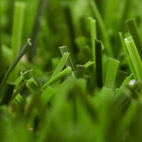 Madrid 36mm Artificial grass