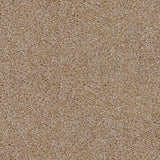 Sierra Snow 665 Saxon King Saxony Carpet