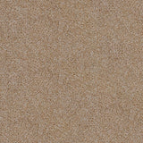 Sierra Snow 665 Saxon King Saxony Carpet