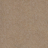 Sierra Snow 665 Saxon King Saxony Carpet