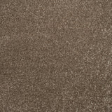 Silt 45 Promenade FusionBac Carpet