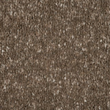 Silt 45 Promenade FusionBac Carpet