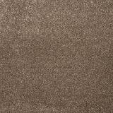 Silt 45 Sophistication Supreme FusionBac Carpet