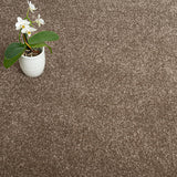 Silt 45 Sophistication Supreme FusionBac Carpet