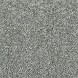 Silver Charm Saxony Carpet