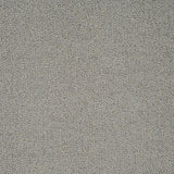 Silver Grey Illinois Loop Carpet