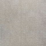 Light Grey 47 Splendour iSense Carpet