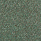 Fern Stainfree Berber Deluxe Carpet