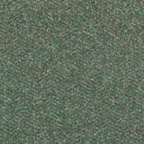 Fern Stainfree Berber Deluxe Carpet