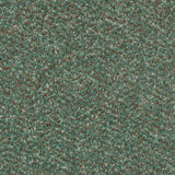 Fern Stainfree Berber Deluxe Carpet