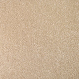 Nutmeg 30 StainGuard Saxony Carpet