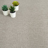 Grey Beige Farne Loop Carpet