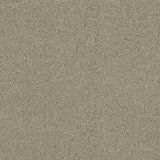 Stardust 75 Ultimate Twist Intenza Carpet