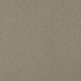 Stone 72 Ultimate Twist Intenza Carpet