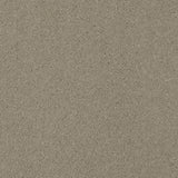 Stone 72 Ultimate Twist Intenza Carpet