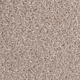 Stucco 50oz Home Counties Carpet by Cormar