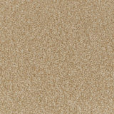 Summer Sand Apollo Plus Carpet Clearance by Cormar